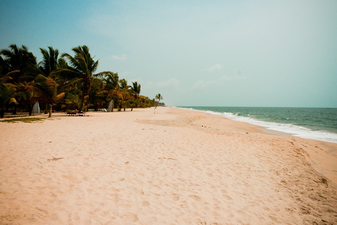 beach, nature, palm tree-2075839.jpg